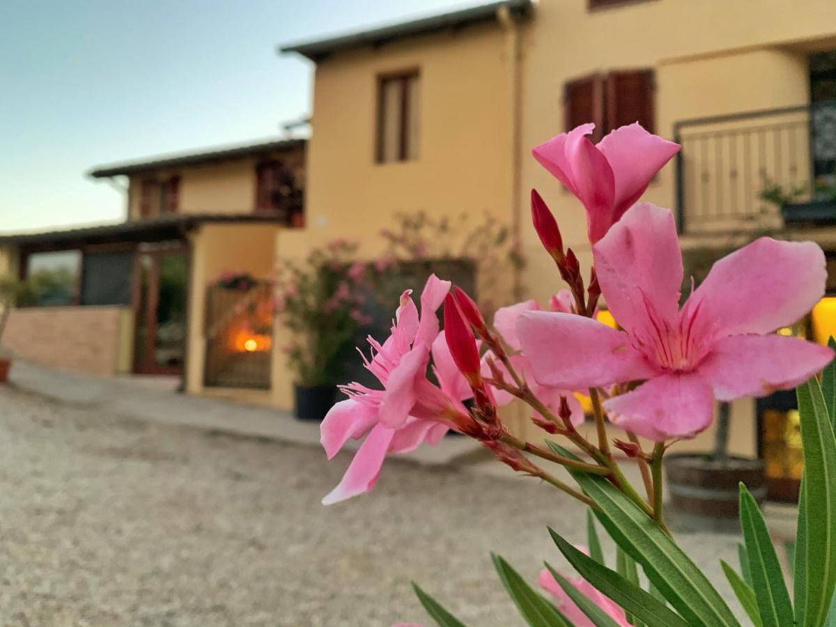 Chiaraluce Country House Massignano Εξωτερικό φωτογραφία